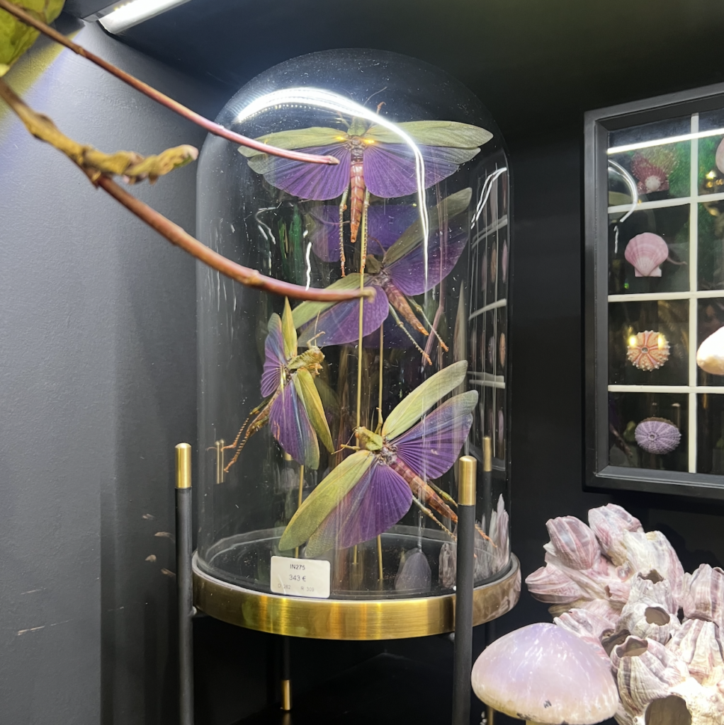 Screenshot 2025 01 27 At 7.38.35 Am 1 | Mercato Interiors | Luxury Furnitures